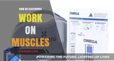 Electrodes and Muscles: Unlocking the Science Behind Electrical Stimulation