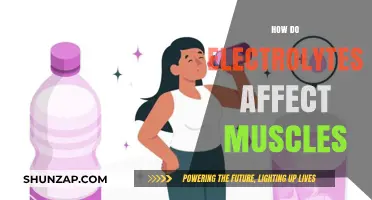 Unleashing Muscle Power: The Electrolyte Connection