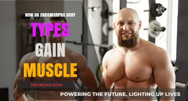 Endomorph Muscle Building: Strategies for Strength and Size Gains