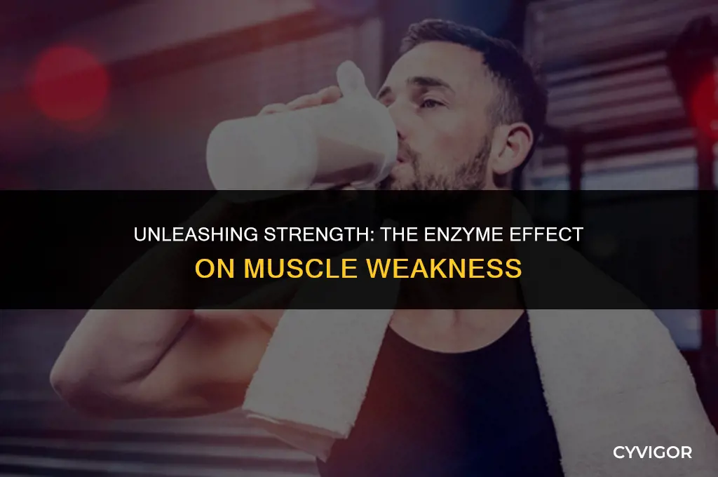 how do enzymes affect weak muscles