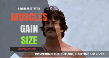 Maximizing Fast Twitch Muscle Growth: Strategies for Size and Strength