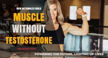 Empowering Women: Building Muscle Naturally Without Testosterone