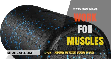 How Foam Rollers Relieve Muscle Tension and Promote Recovery