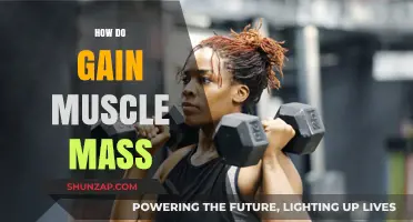 Effective Strategies to Build Muscle Mass and Strength Fast