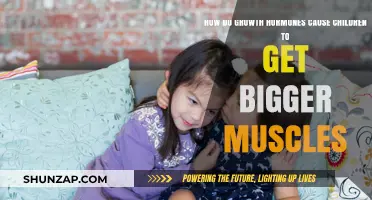Growth Hormones: Muscle Growth in Children