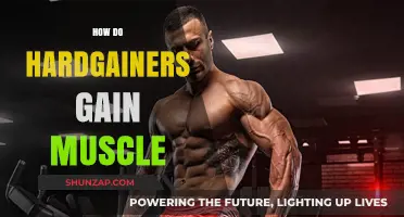 Muscle Building Strategies for Hardgainers: Effective Tips to Gain Mass