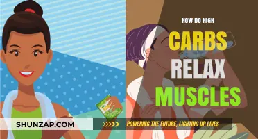 Carbohydrates and Muscle Relaxation: Unlocking the Science Behind the Calm