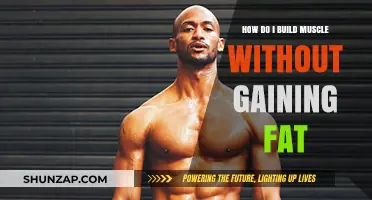Lean Muscle Building: Strategies to Gain Muscle Without Fat