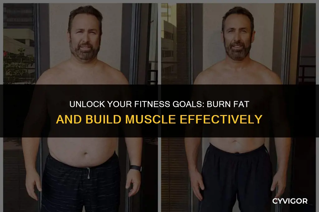 how do i burn fat and build muscle
