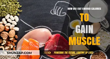 Fuel Your Muscle Growth: Strategies to Meet Caloric Needs Effectively