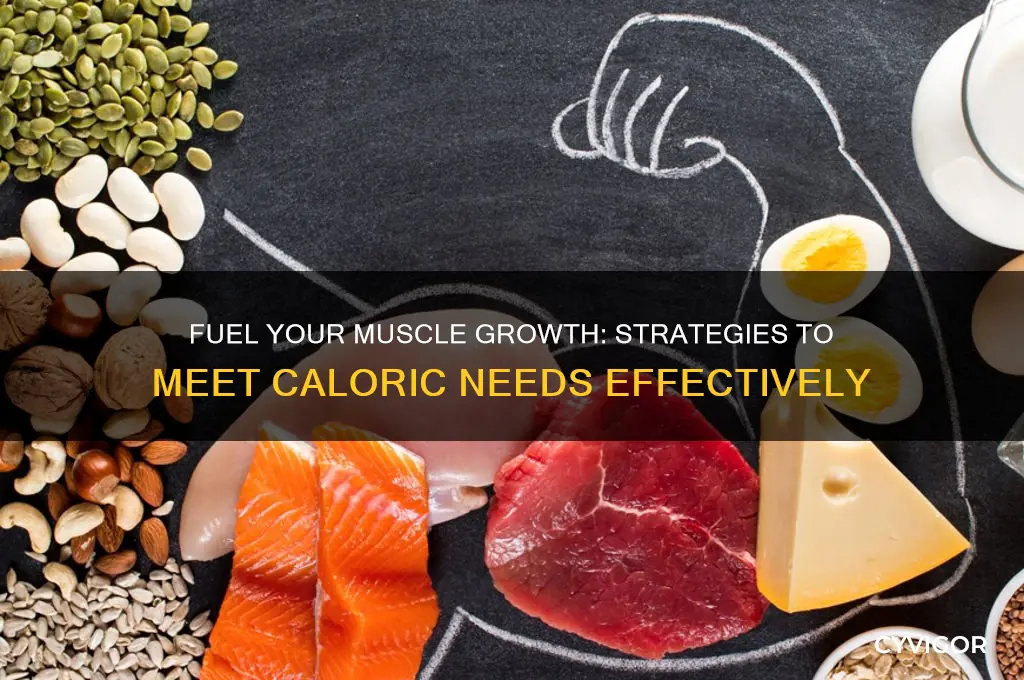 how do i eat enough calories to gain muscle