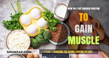 Maximize Muscle Growth: Strategies to Meet Your Protein Needs