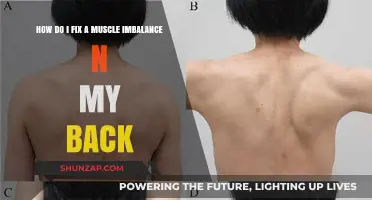 Correcting Back Muscle Imbalance: A Comprehensive Guide to Relief