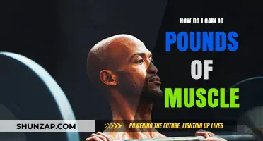 Effective Strategies to Build 10 Pounds of Muscle Mass Fast