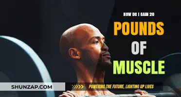 Effective Strategies to Build 20 Pounds of Muscle Mass Fast