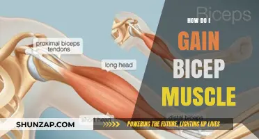 Effective Bicep Building: Proven Strategies for Bigger, Stronger Arms