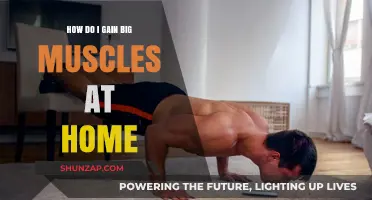 Build Massive Muscles at Home: Effective Workouts and Tips