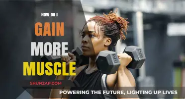 Effective Strategies to Build Muscle Mass and Strength Fast