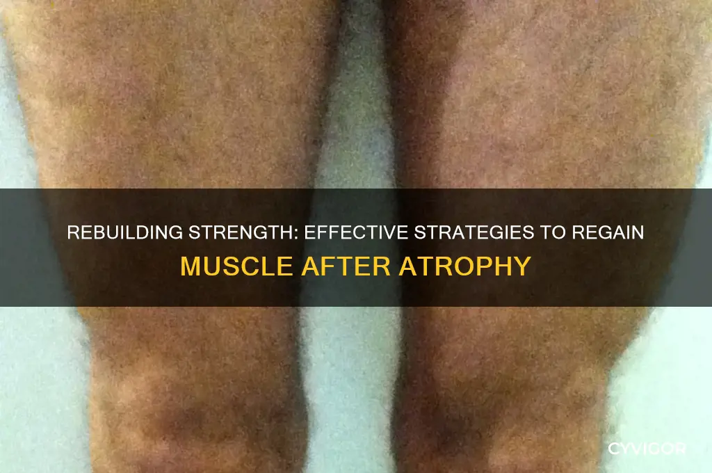how do i gain muscle after it atrophies