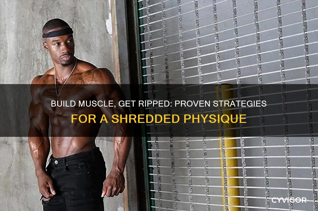 how do i gain muscle and get ripped
