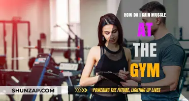 Effective Gym Strategies to Build Muscle and Strength Fast