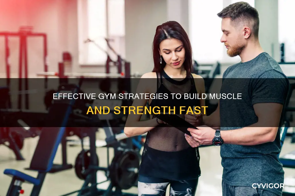 how do i gain muscle at the gym