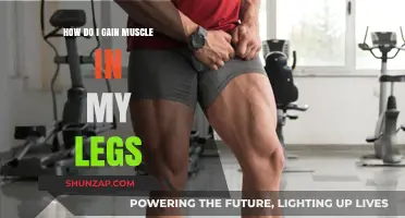 Effective Leg Muscle Building: Tips for Stronger, Toned Legs Fast