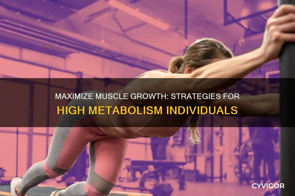 how do i gain muscle mass with a high metabolism