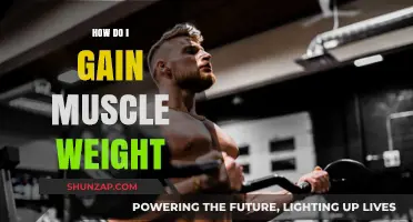 Effective Strategies to Gain Muscle Weight and Build Strength
