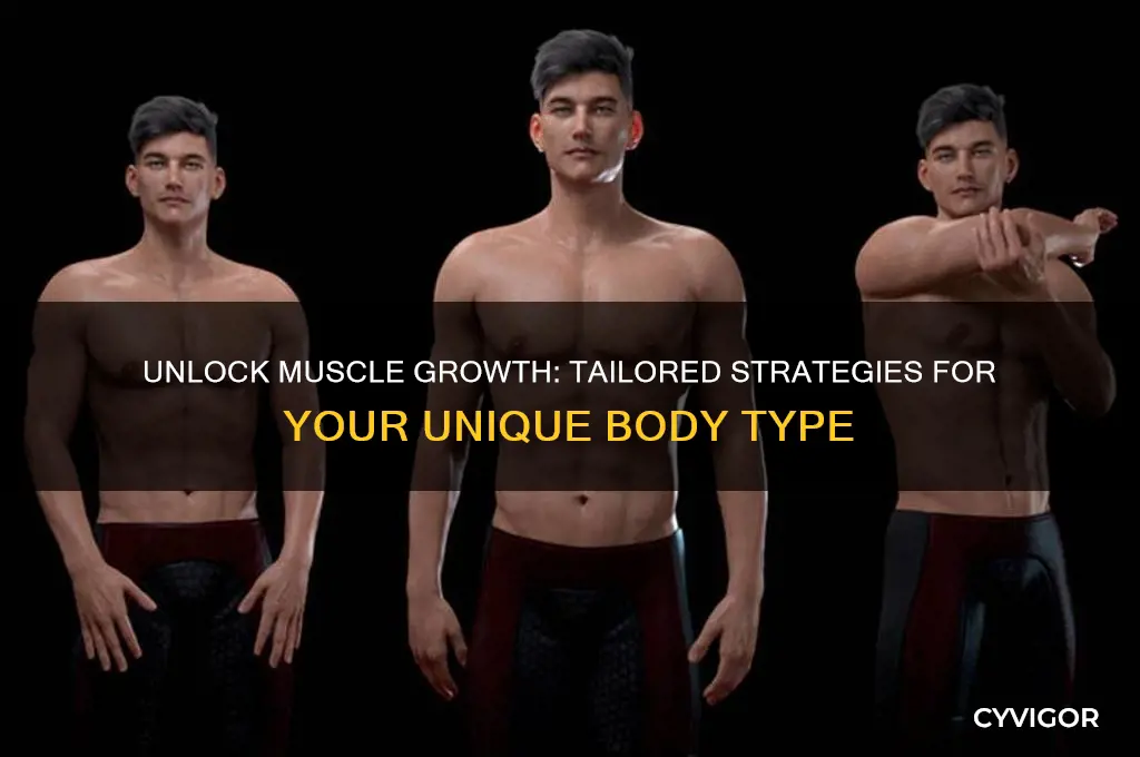 how do i gain muscle with my body type