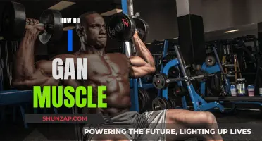 Building Muscle: Effective Strategies for Gaining Mass