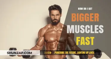 Unlocking Rapid Muscle Growth: A Comprehensive Guide