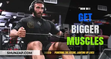 Unlocking Your Muscle Potential: A Comprehensive Guide to Hypertrophy