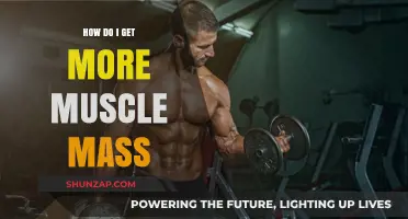 Building Muscle Mass: A Comprehensive Guide for Fitness Enthusiasts