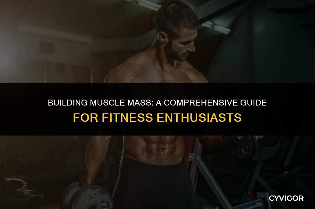 how do i get more muscle mass