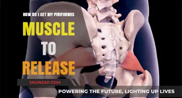 Relieving Piriformis Muscle Tension: A Comprehensive Guide
