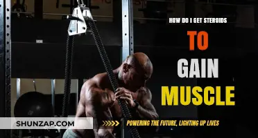 Safe and Effective Ways to Gain Muscle Without Using Steroids