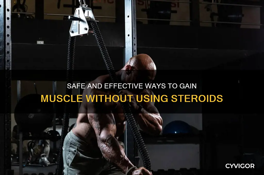 how do i get steroids to gain muscle