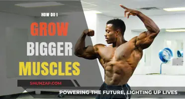 Effective Strategies to Build Bigger Muscles: Training, Nutrition, and Recovery Tips