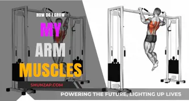 Effective Arm Muscle Growth: Tips, Exercises, and Strategies for Stronger Arms