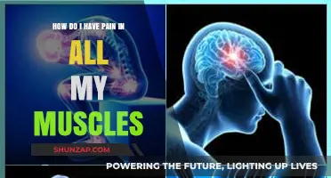Understanding Full-Body Muscle Pain: Causes, Remedies, and Relief Strategies