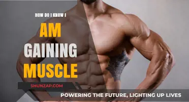 Signs You're Building Muscle: Tracking Progress and Visible Results