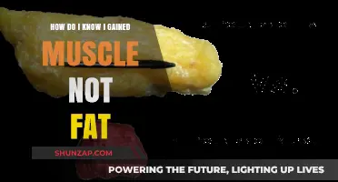 Muscle Gain vs. Fat: How to Track Your Progress Accurately