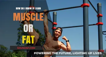 Muscle or Fat Gain: How to Identify Your Body Changes