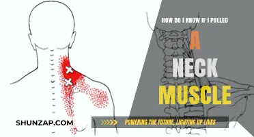 Pulled Neck Muscle: Symptoms, Causes, and When to Seek Help