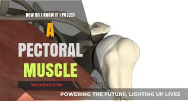 Pulled Pectoral Muscle: Symptoms, Causes, and Recovery Tips Explained
