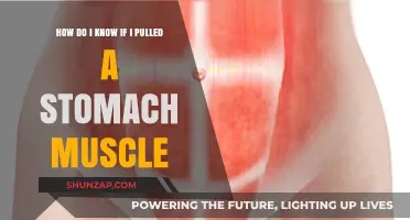 Pulled Stomach Muscle: Symptoms, Causes, and Recovery Tips Explained