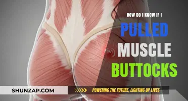 Identifying a Pulled Muscle in the Buttocks: Symptoms and Solutions