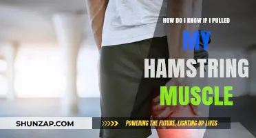 Pulled Hamstring: Symptoms, Diagnosis, and Recovery Tips Explained