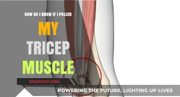 Pulled Tricep Muscle: Symptoms, Diagnosis, and Recovery Tips